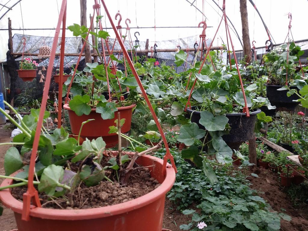 Mangala Flora Hotel Nuwara Eliya Bagian luar foto